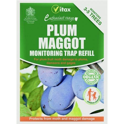 Plum-Maggot Trap